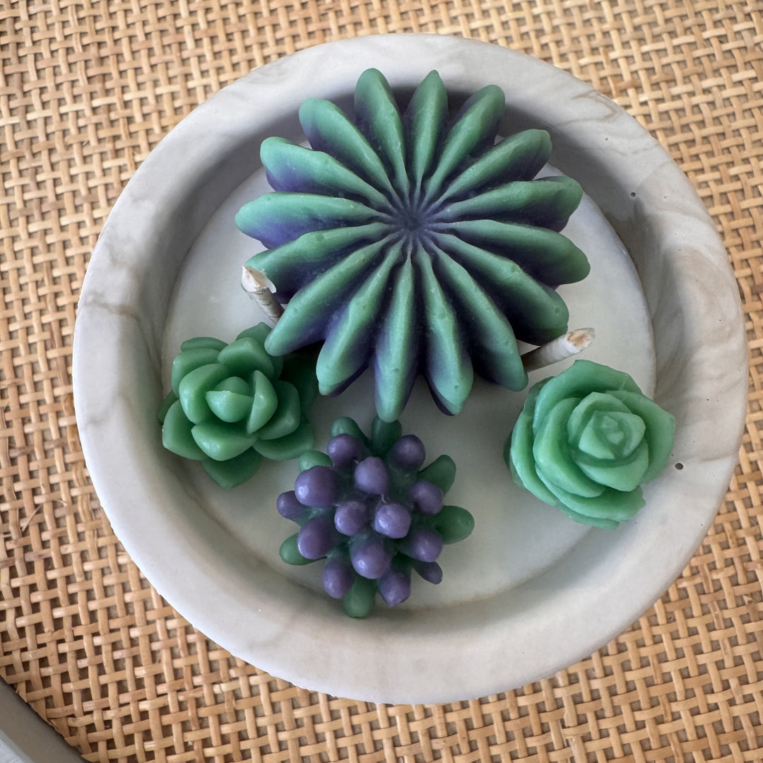 Bougie CACTUS motif feuilles