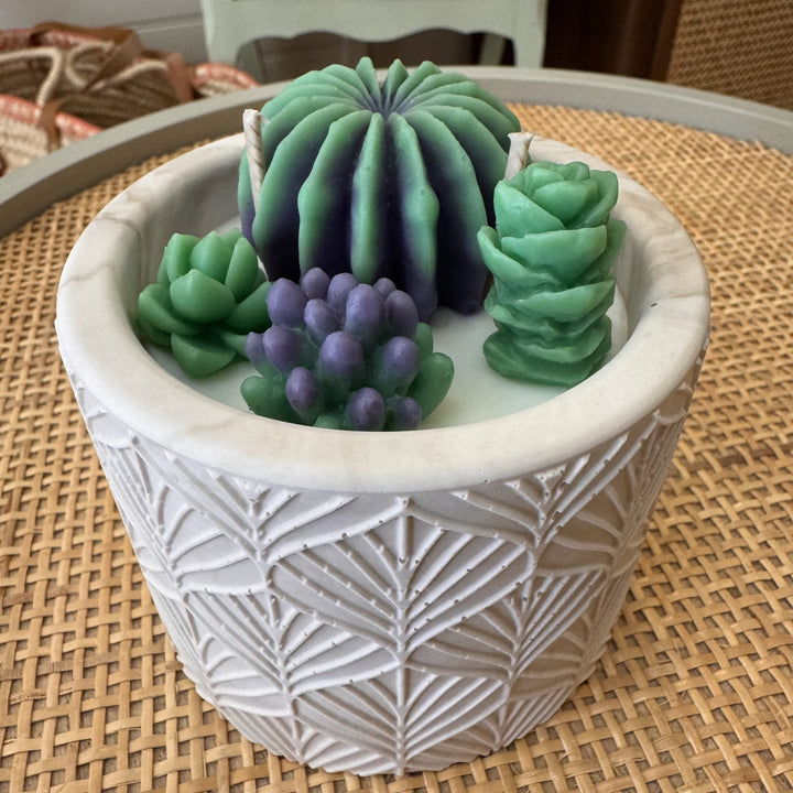 Bougie CACTUS motif feuilles