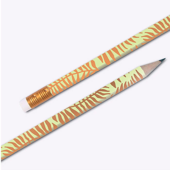 Crayon HB