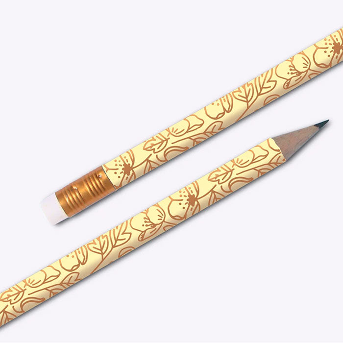 Crayon HB