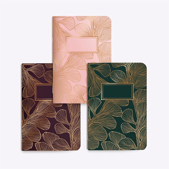 Trio Petits Carnets - Coral